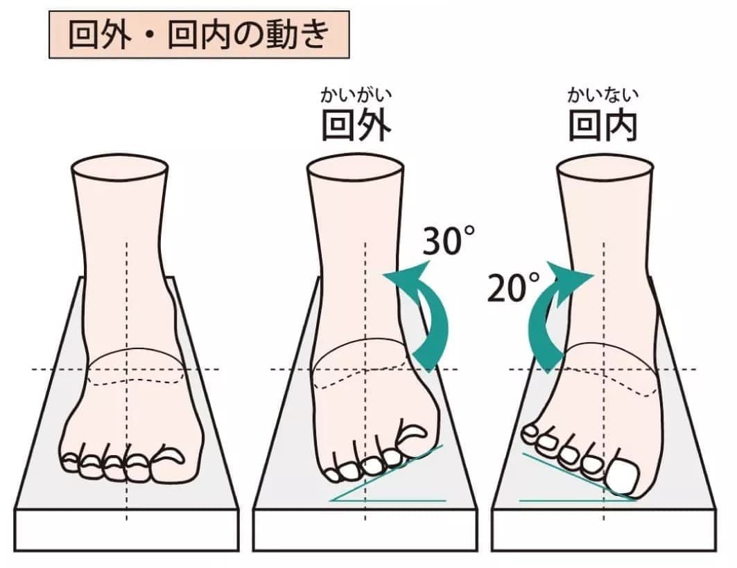 足首の回内、回外